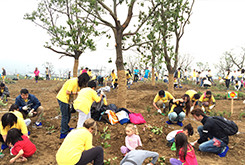 公益財團法人永旺環境財團開展的植樹活動